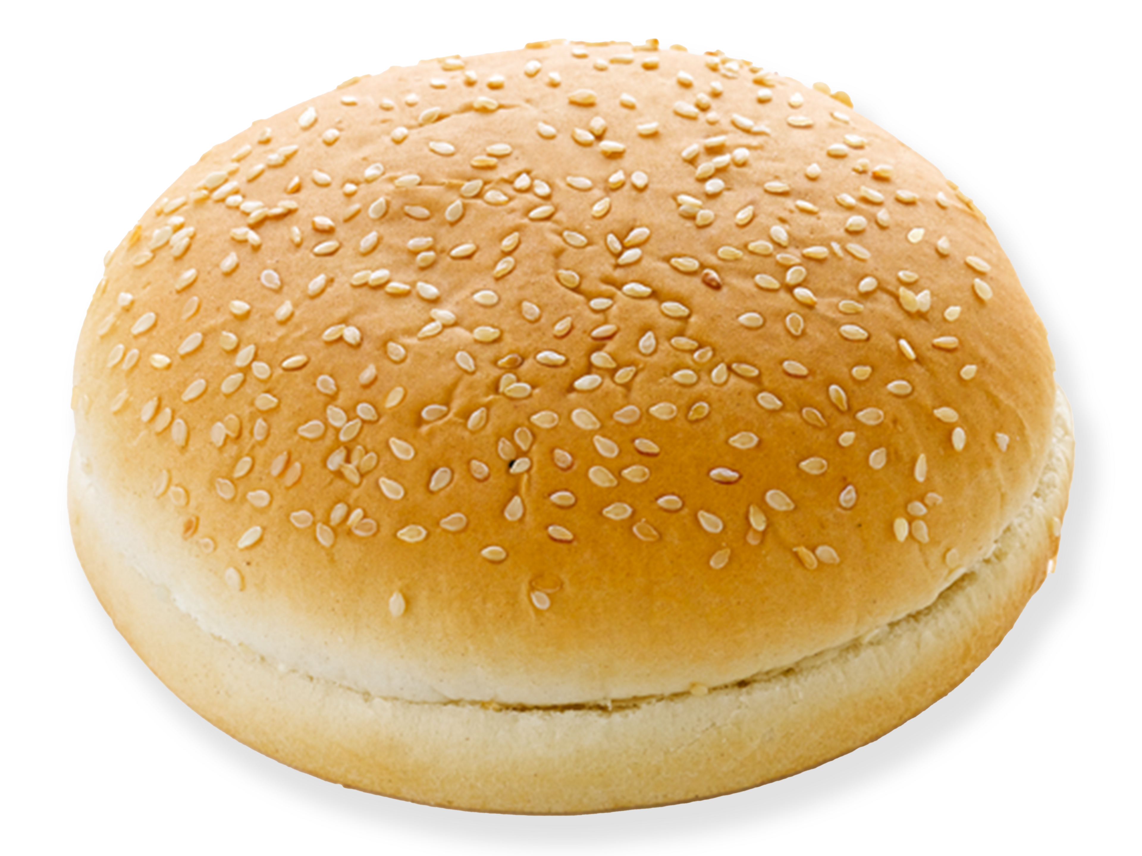 5'' hamburgerbroodjes sesam DS 24st. (MK5)